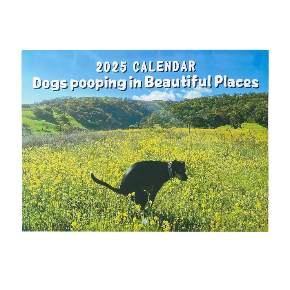 2025 Calendar: Dogs Pooping in Beautiful Places
