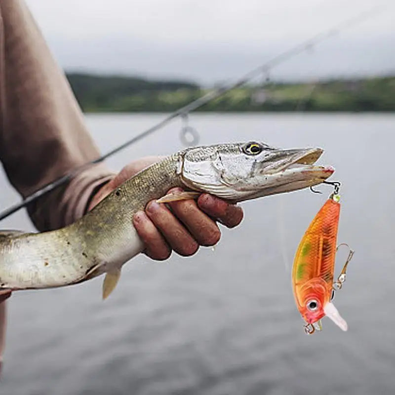 Ultimate Fisherman's Christmas Advent Calendar - 24 Fishing Lures Set
